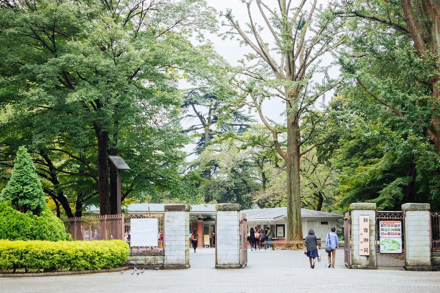 末松ビル -Tokyo Lifestyle Apartment- Apartment Tokyo